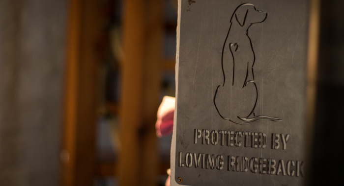 Plakette "Protected by loving Ridgeback"